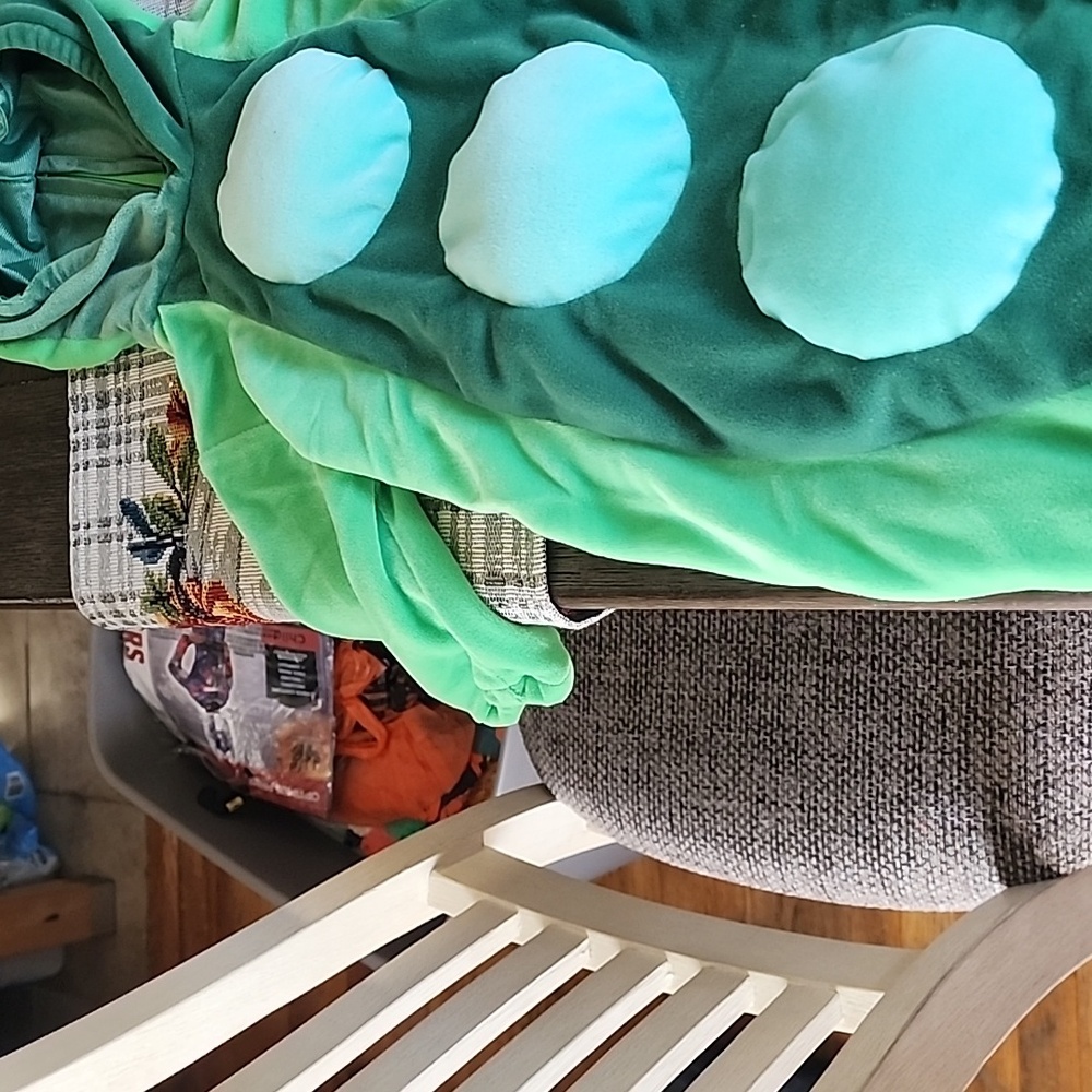 Pea in the pod Halloween costume - Picture 3 of 6